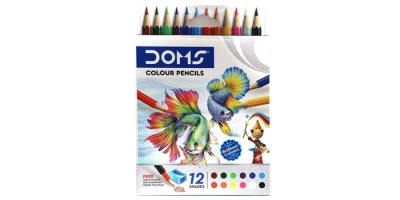 Colour Pencil Small Includes One Sharpener