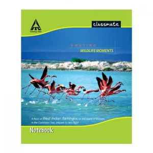 Notebook A4 Size Single Line Hindi Pages - 140