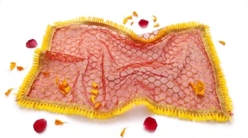 Mata Rani Ki Chunri (18 x 9 Inch) &ndash; Red Brocade Devi Maa Dupatta with Golden Zari Jaal &amp; Yellow Fringe Border for Diwali Laxmi Puja &amp; Mandir Idols - Pack of 2